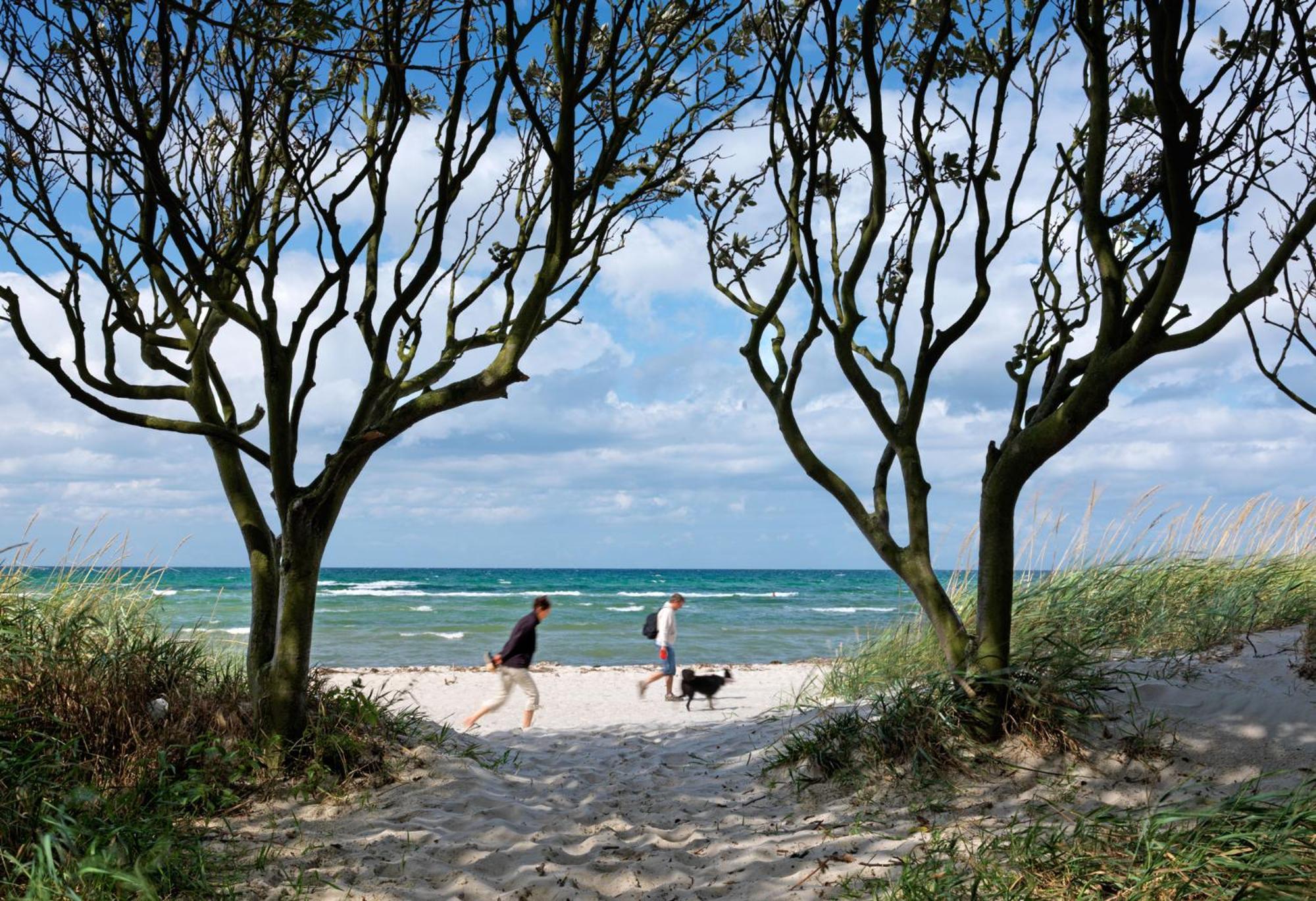 Reihenhaeuser Timmendorf Strand Haus Sonnenaufgang Insel Poel Εξωτερικό φωτογραφία
